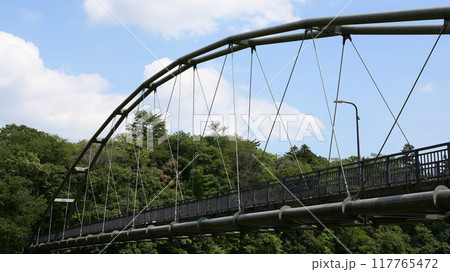 柳淵橋 多摩川 柳淵橋 多摩川 117765472