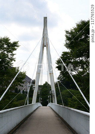鮎美橋 多摩川 鮎美橋 多摩川 117765529