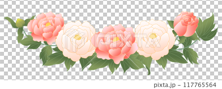 牡丹花手繪插畫 117765564