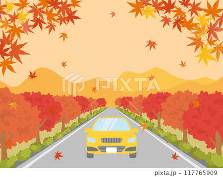 もみじ並木を走る車 117765909