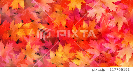紅葉　葉　秋　背景	 117766191