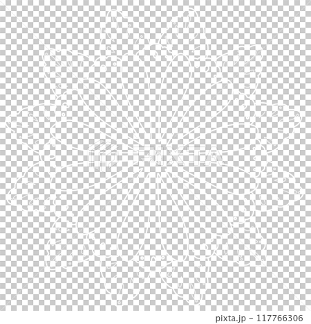 白色花朵蕾絲 117766306