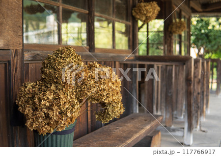 ドライフラワーが飾られたレトロな上神梅駅【わたらせ渓谷鐡道】群馬県 ドライフラワーが飾られたレトロな上神梅駅【わたらせ渓谷鐡道】群馬県 117766917