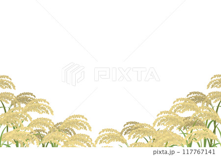稲穂の風景 田んぼの水彩イラスト 米の背景 稲穂の風景 田んぼの水彩イラスト 米の背景 117767141
