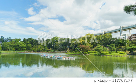 【千葉県千葉市】千葉公園・綿打池 【千葉県千葉市】千葉公園・綿打池 117767177