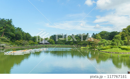 【千葉県千葉市】千葉公園・綿打池 117767181