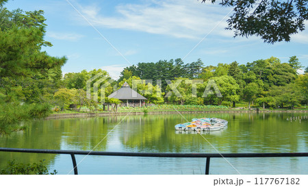 【千葉県千葉市】千葉公園・綿打池 【千葉県千葉市】千葉公園・綿打池 117767182