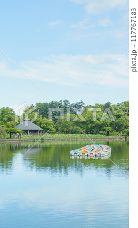 【千葉県千葉市】千葉公園・綿打池 【千葉県千葉市】千葉公園・綿打池 117767183