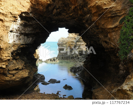 ザ・グロット 周辺の独特の景観 Australia Victoria ザ・グロット 周辺の独特の景観 Australia Victoria 117767234