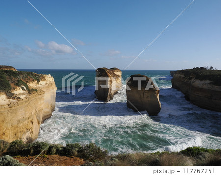 トム＆エヴァ展望台周辺の景観　　Australia　Victoria 117767251