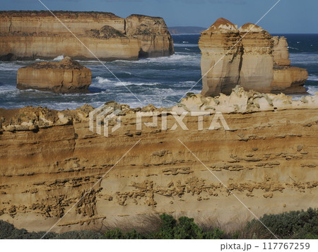 The Razorback Lookout 周辺の景観　　Australia　Victoria 117767259