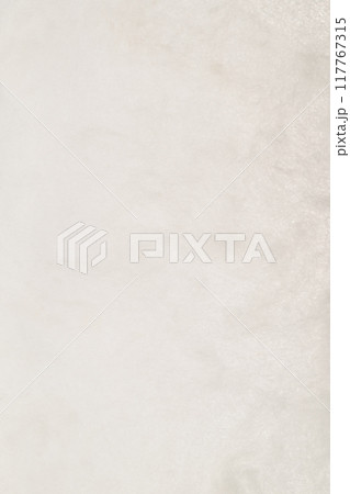 和紙と絹綿のコラボ【背景素材】 117767315