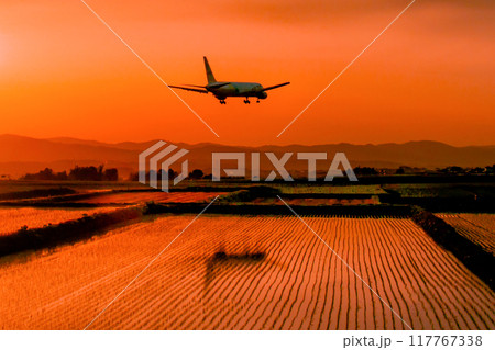夕焼けと水田に映える飛行機 夕焼けと水田に映える飛行機 117767338