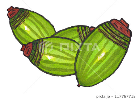 手描きの水彩画(絵手紙)「ドングリ(アラカシ)」四粒 117767718