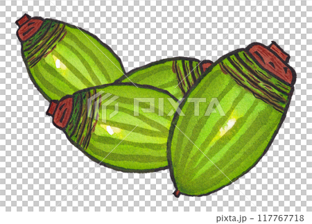 手描きの水彩画(絵手紙)「ドングリ(アラカシ)」四粒 117767718