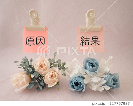 原因と結果の文字　花　比較する　並べる 117767987