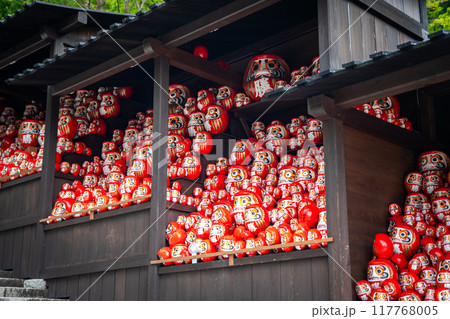 Katsuoji, the Temple of Daruma Dolls, in Osaka, Japan Katsuoji, the Temple of Daruma Dolls, in Osaka, Japan 117768005
