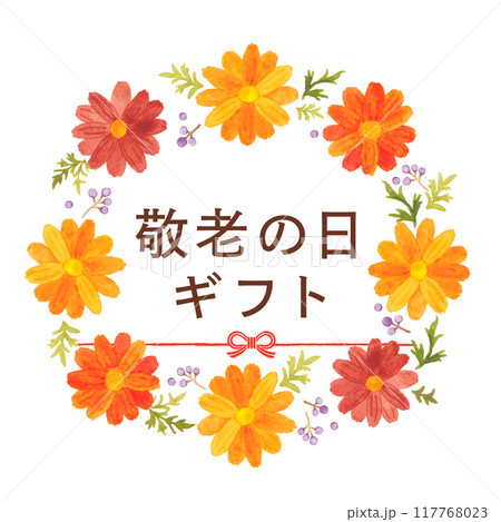 敬老の日　秋色のコスモス水彩イラスト 117768023