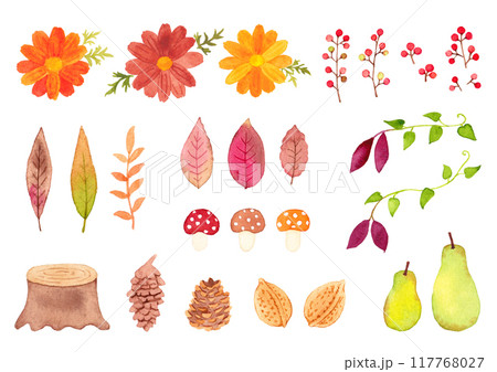 秋の水彩セット 秋の水彩セット 117768027