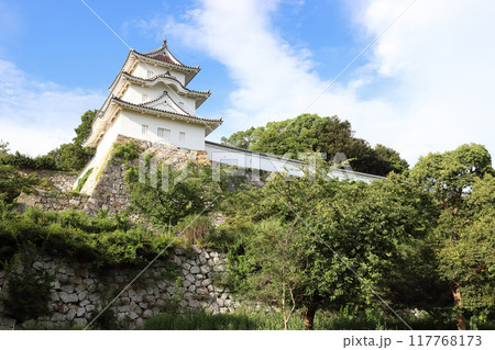 夏の明石城跡(兵庫県 明石市) 夏の明石城跡(兵庫県 明石市) 117768173