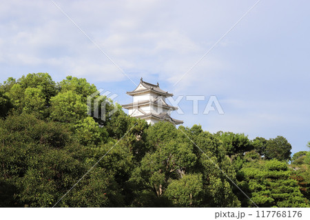 夏の明石城跡（兵庫県 明石市） 117768176