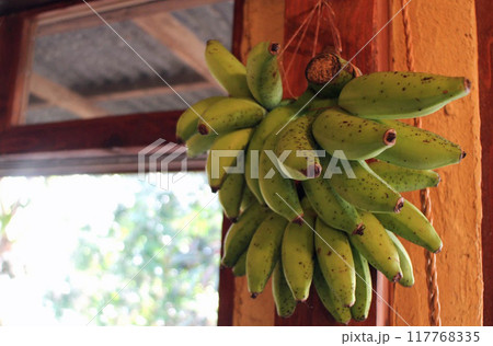 壁に掛かった島バナナ 117768335