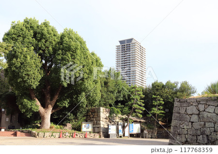 明石公園から見える高層マンション(兵庫県 明石市) 明石公園から見える高層マンション(兵庫県 明石市) 117768359