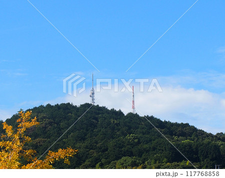 山と青空と電波塔（晩夏の神田公園 から烏帽子山を望む） 117768858