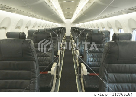 飛行機の座席 飛行機の座席 117769164