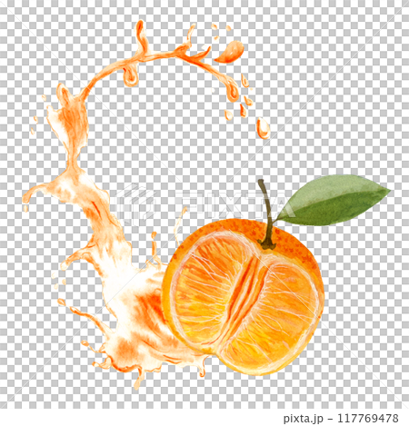 Green mandarine, fruit half, juicy splash watercolor composition isolated on white background, hand drawn for food design. Packages, restaurant and cafe menu, natural organic food, label, logo, decor Green mandarine, fruit half, juicy splash watercolor composition isolated on white background, hand drawn for food design. Packages, restaurant and cafe menu, natural organic food, label, logo, decor 117769478