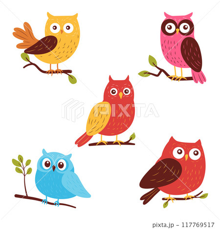 Collection of Cute Colorful Owl Bird Animal Perched on Tree Branch 117769517