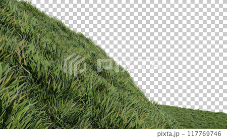 nature grass meadow land lush greenery landscape lawn isolated background. meadow green hill plant beautiful spring mountain park environment 3d render. grass plant field summer travel outdoor. 117769746