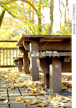 公園の中にある木製のテーブルとベンチ 117769821