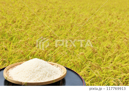 秋の田んぼと新米 117769913