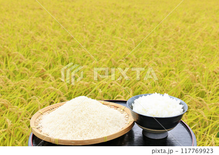 秋の田んぼと新米のご飯 117769923