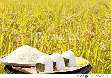 秋の田んぼと新米のおにぎり 117769924