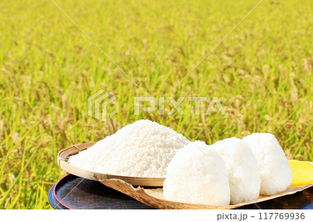 秋の田んぼと新米のおにぎり 117769936