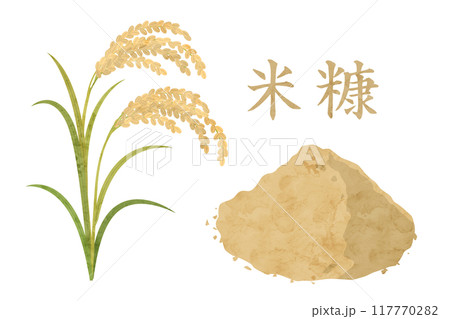 米糠の水彩ベクターイラスト 稲 117770282