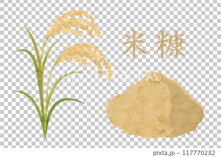 米糠の水彩ベクターイラスト 稲 117770282