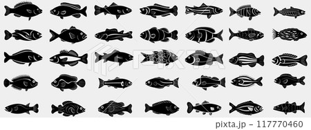 Fish silhouette vector illustration. Fish silhouette, Icon and Sign. 117770460