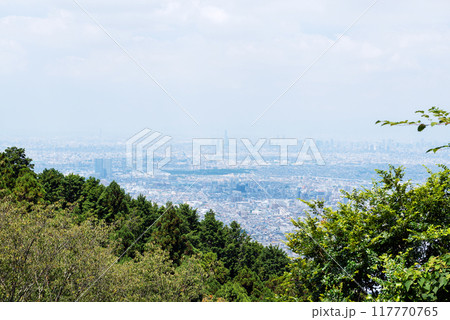 高安山展望台からの景色 高安山展望台からの景色 117770765