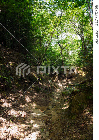 八尾市の高安山 八尾市の高安山 117770766