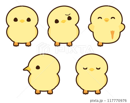 ひよこ フチあり ひよこ フチあり 117770976