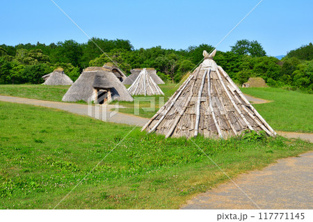 三内丸山遺跡 三内丸山遺跡 117771145