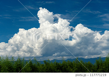 雲が湧く真夏の空のイメージ 雲が湧く真夏の空のイメージ 117771219