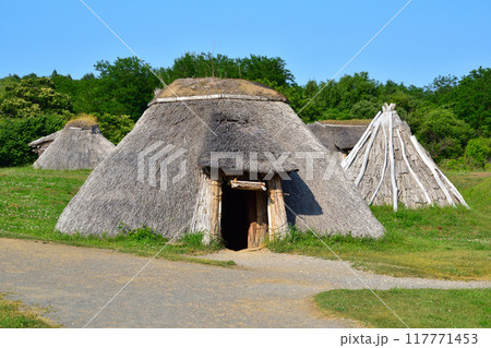 三内丸山遺跡 三内丸山遺跡 117771453