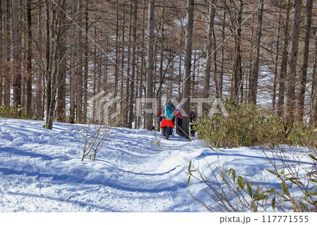 冬の入笠山の樹林帯 117771555