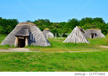 三内丸山遺跡 117771602
