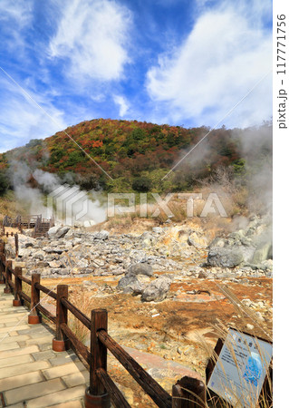 秋の雲仙地獄の邪見地獄の風景 ( 11月 / 長崎県 雲仙市 ) 117771756