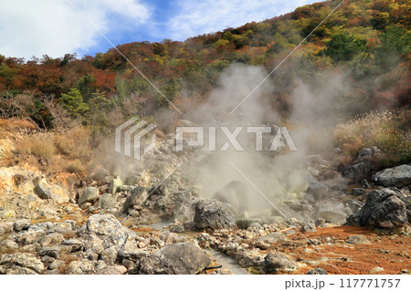 秋の雲仙地獄の邪見地獄の風景 ( 11月 / 長崎県 雲仙市 ) 117771757